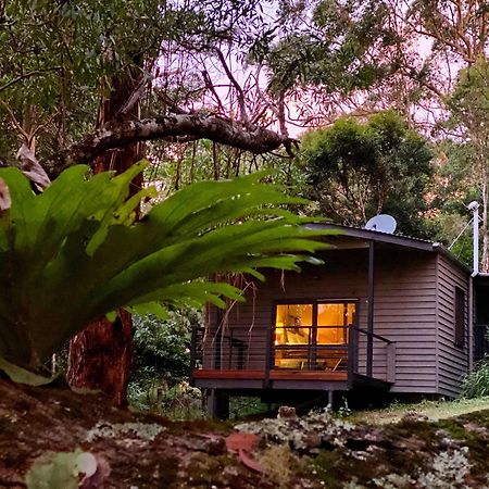 Whispering Valley Cottage Retreat Maleny Eksteriør billede