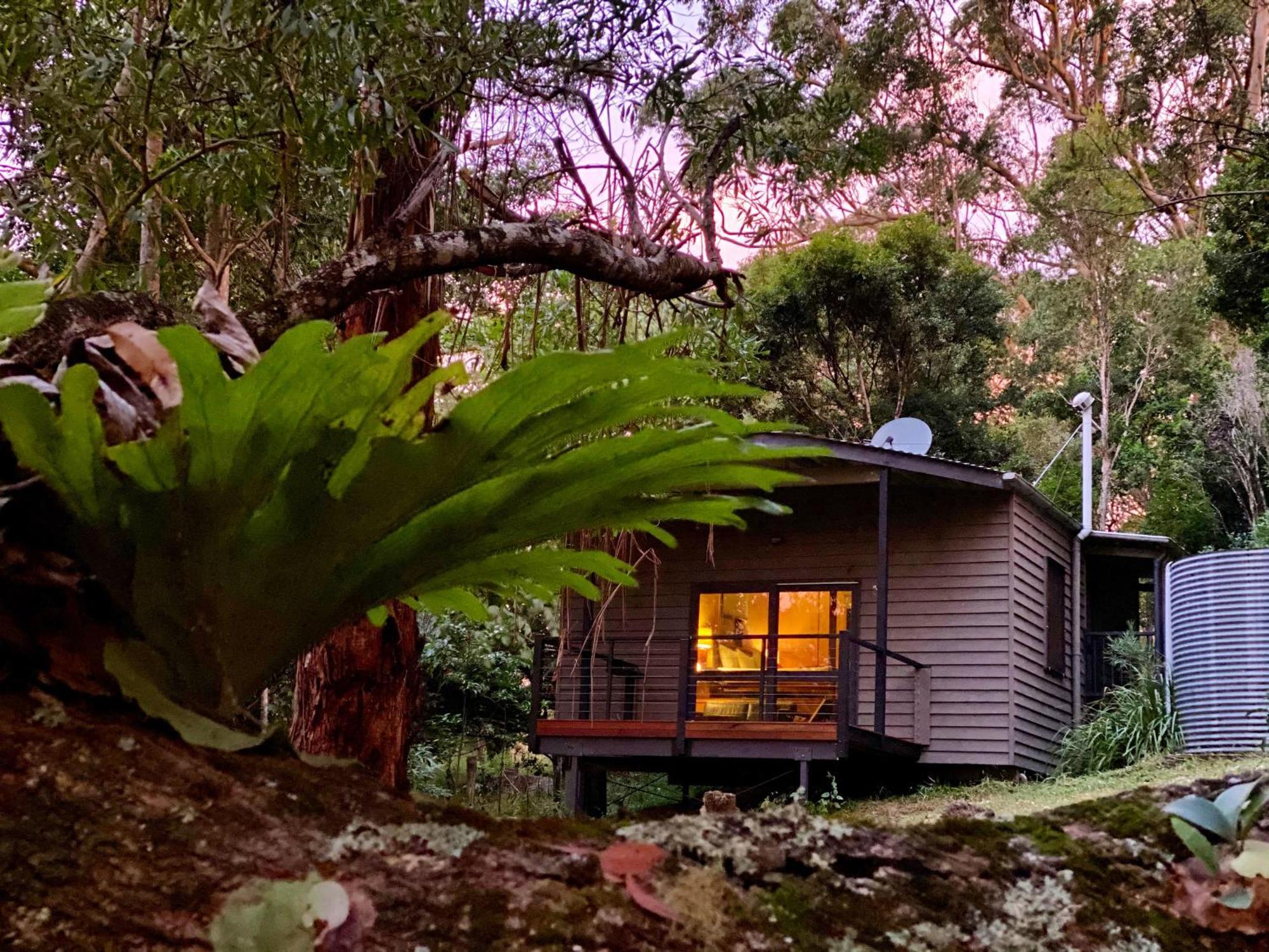 Whispering Valley Cottage Retreat Maleny Eksteriør billede