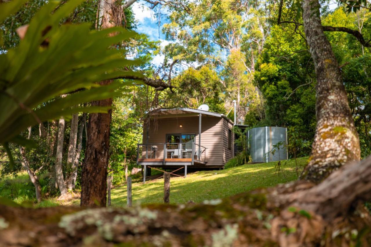 Whispering Valley Cottage Retreat Maleny Eksteriør billede