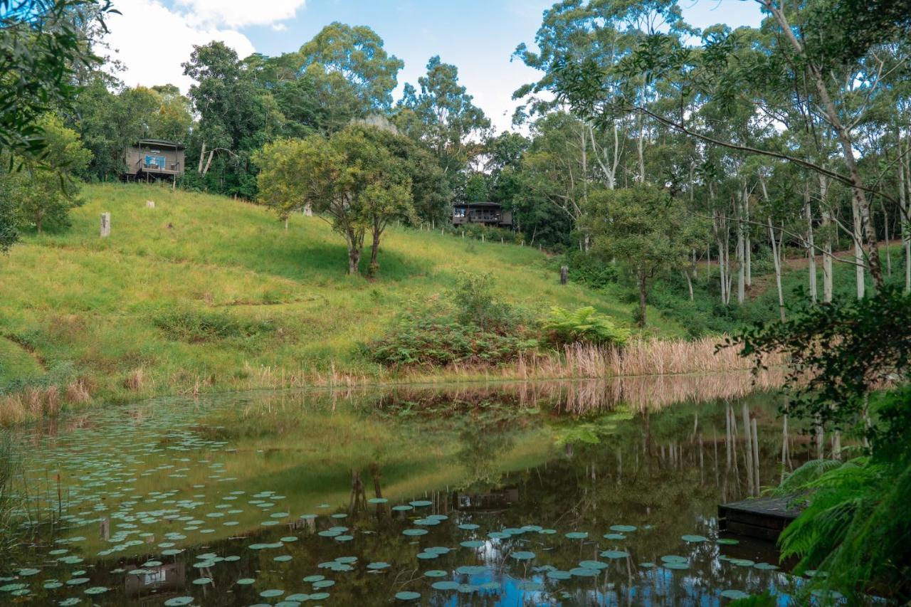 Whispering Valley Cottage Retreat Maleny Eksteriør billede