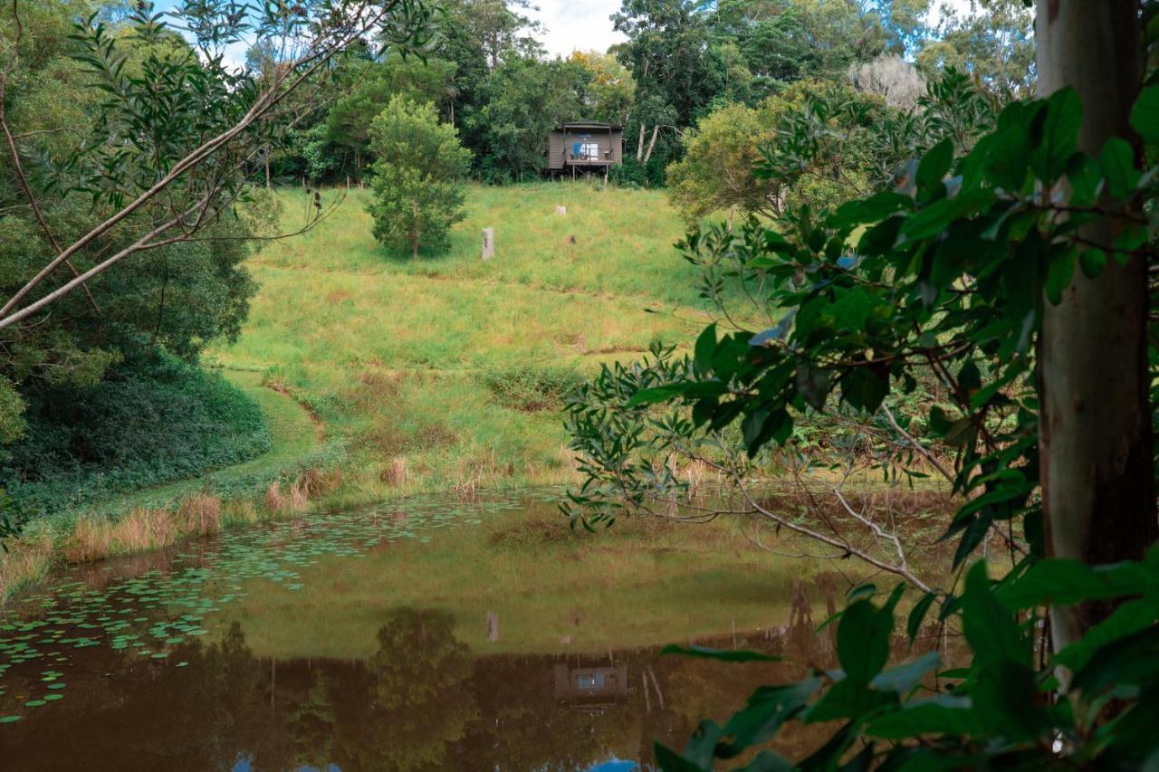 Whispering Valley Cottage Retreat Maleny Eksteriør billede