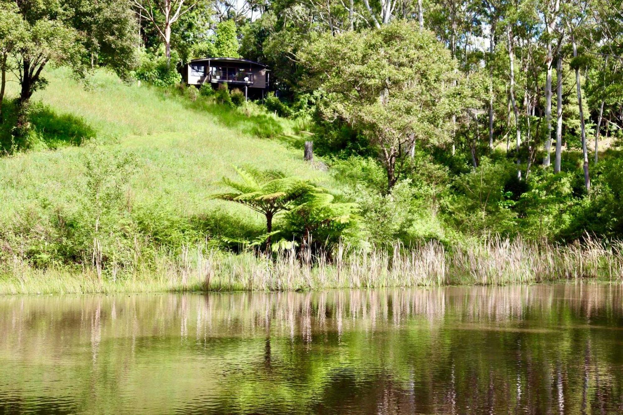 Whispering Valley Cottage Retreat Maleny Eksteriør billede