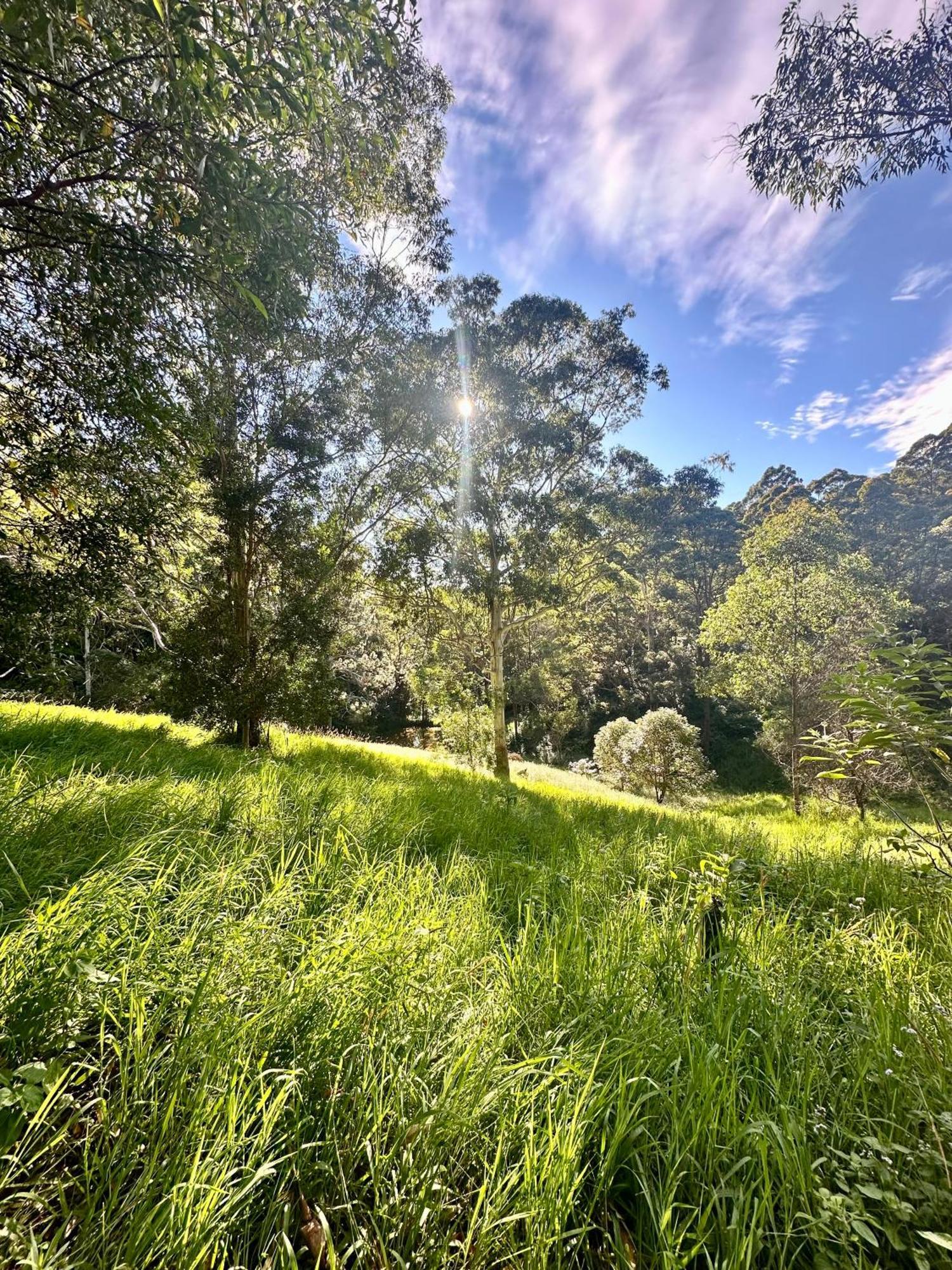 Whispering Valley Cottage Retreat Maleny Eksteriør billede