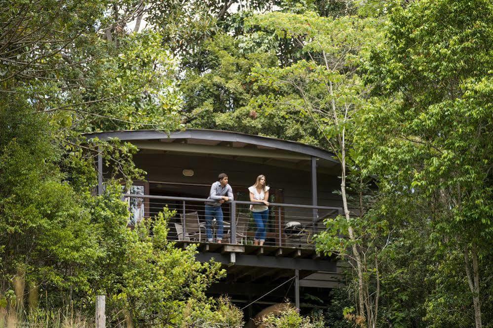Whispering Valley Cottage Retreat Maleny Eksteriør billede
