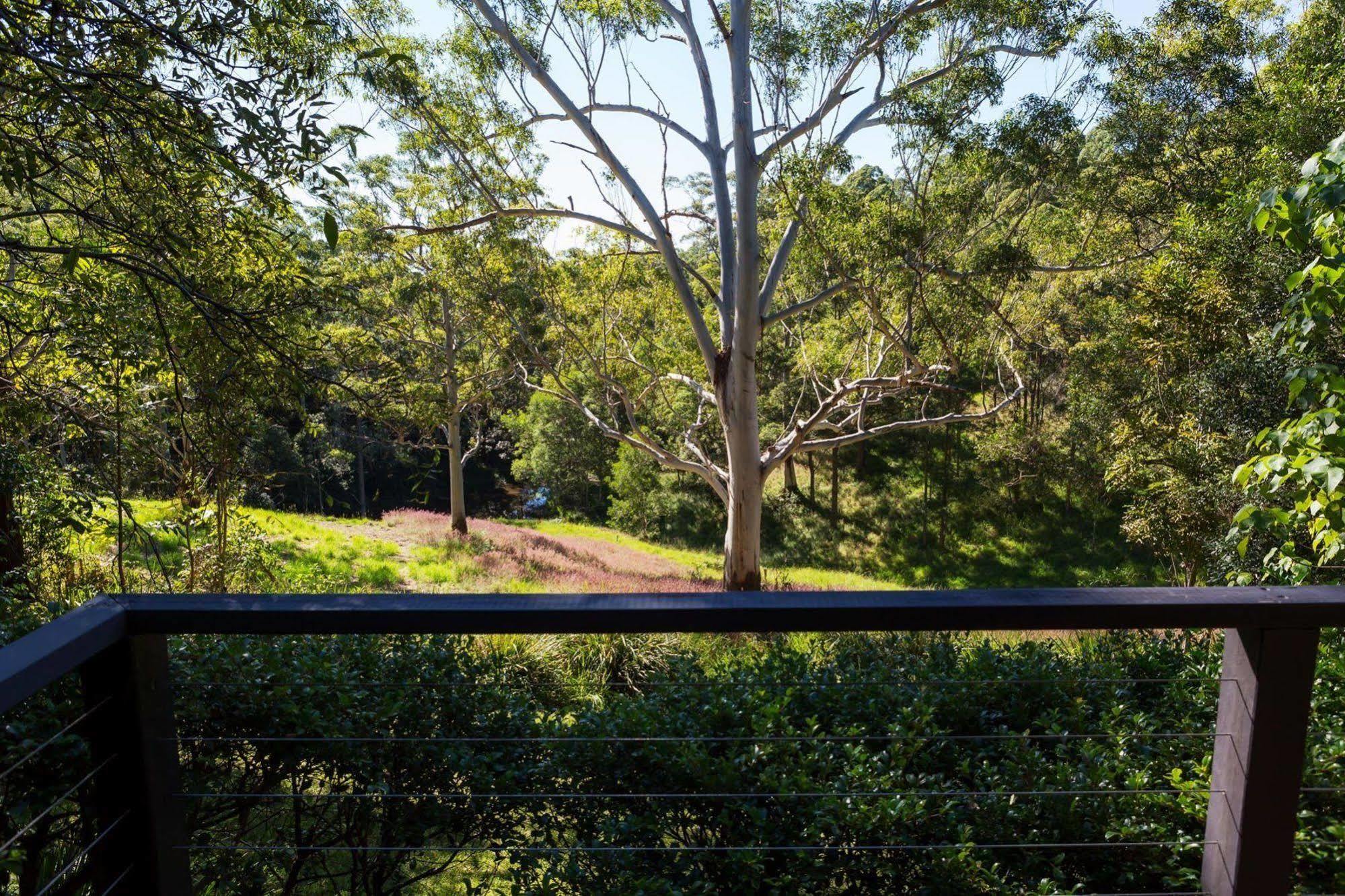 Whispering Valley Cottage Retreat Maleny Eksteriør billede
